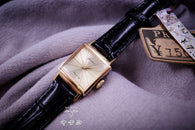 Citizen 1100799 “NOS”