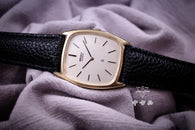 Seiko 500010