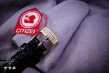 Citizen 3091953 “NOS”