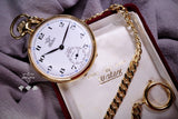 Watex blue 24hrs