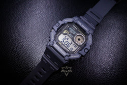 WS-1700H-8AVDF