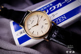 Citizen exceed 5437-F42813