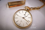 Citizen Mitsubishi 2D0074