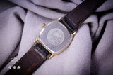 Omega 50076972