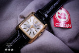 Citizen 3091953 “NOS”