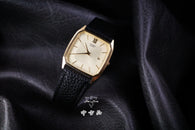 Citizen 608694