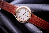 Pierre Cardin / Swiss made "NOS"
