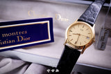 Christian Dior 3004