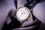 SEIKO 十六八重表菊