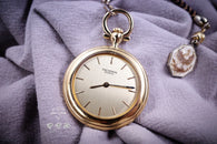 Technos 240010
