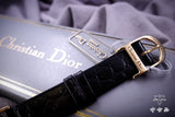 Christian Dior 3004